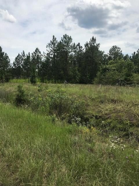 952 Jw Warren Rd, East Dublin, GA 31027 - photo 2