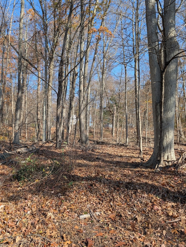 View looking towards the back yard.