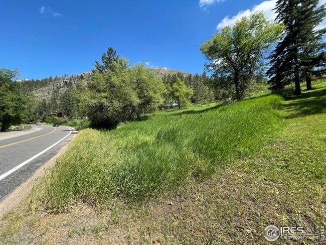 0 Poudre Canyon Rd unit 944953, Bellvue, CO 80512 - photo 2