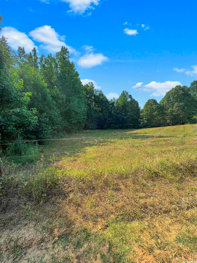 2684 Greene 138 Rd unit 2685 Greene 138 Road, Paragould, AR 72450 - photo 6