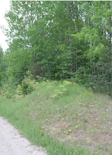 1.6 Ac Co Rd 407, Newberry, MI 49868