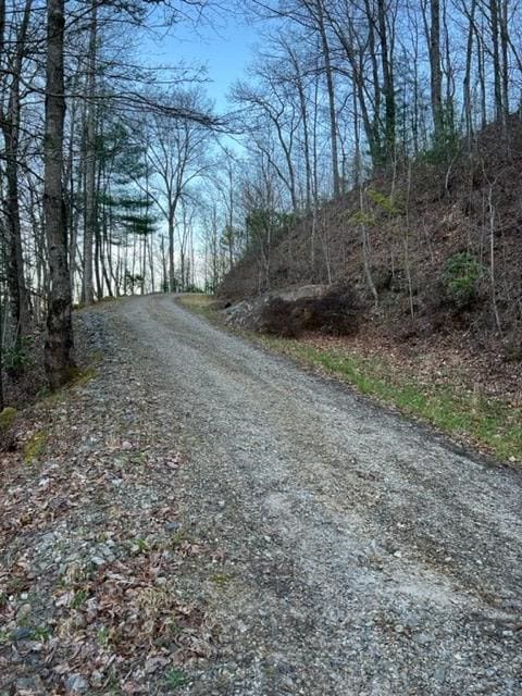 00 Glennview Ln, Franklin, NC 28734 - photo 7