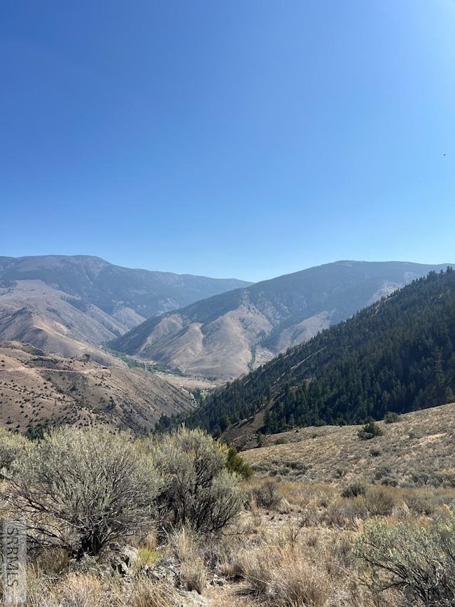 TBD Skyline, Salmon, ID 83467 - photo 2