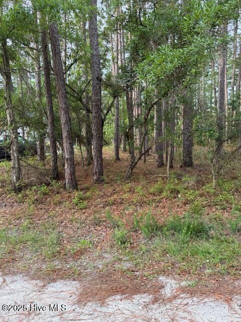 269 S High Point Rd, Boiling Spring Lakes, NC 28461 - photo 3