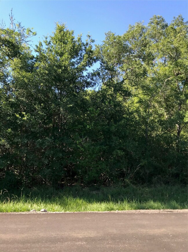 0 Heather Dr unit 96714103, Brazoria, TX 77422 - photo 4