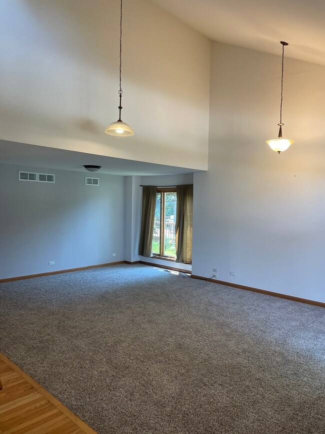 720 Young Ave, Batavia, IL 60510 - photo 7