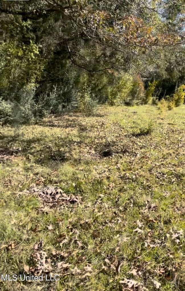 1105 Chapman Rd, Utica, MS 39175 - photo 4