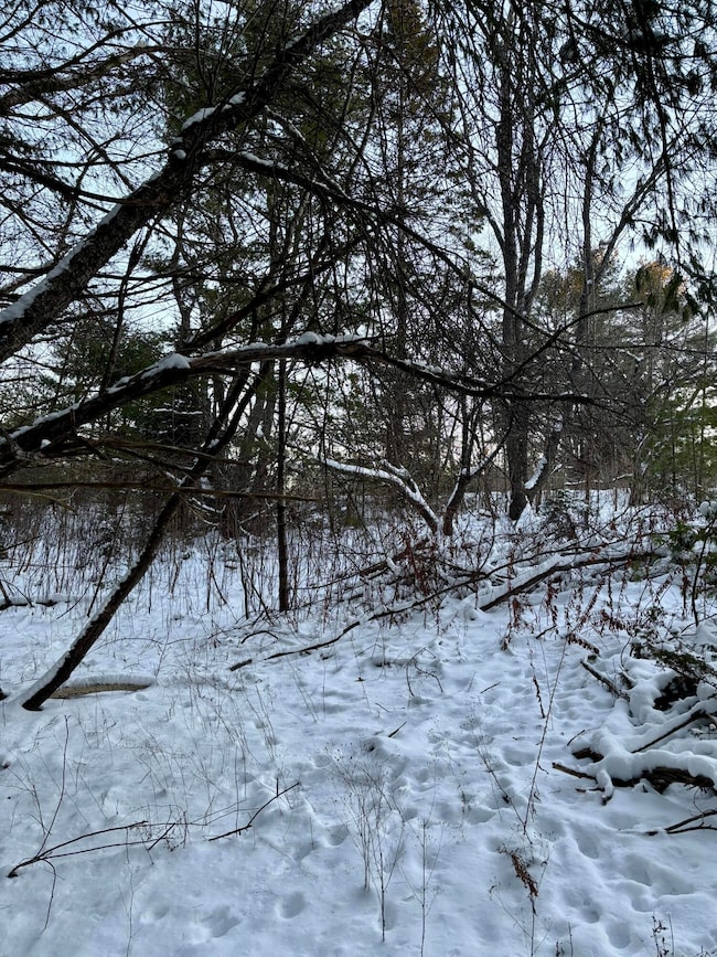 0 Meadow Brook Ln, Orland, ME 04472 - photo 5