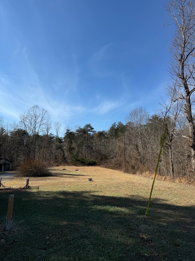 10171 Tanzy Rd, Cannelton, IN 47520 - photo 3