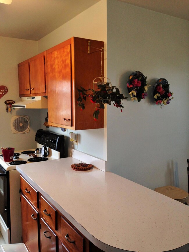 Kitchen2.jpg
