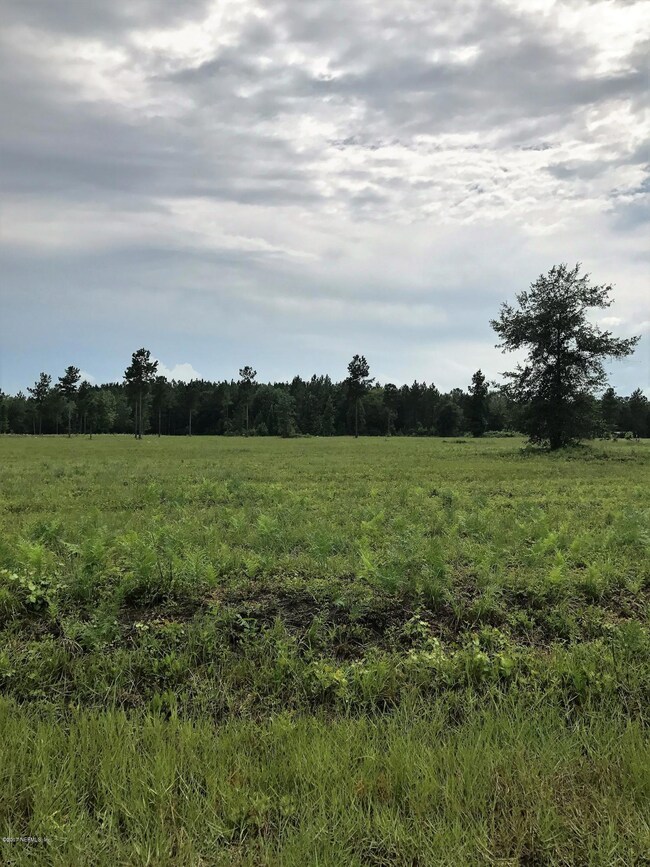 0 Red Dirt Ridge Trail unit 894029, Callahan, FL 32011 - photo 3