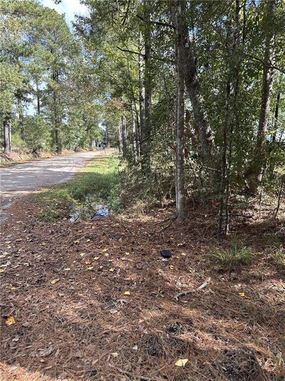 27823 J C Stewart Rd, Albany, LA 70711 - photo 7