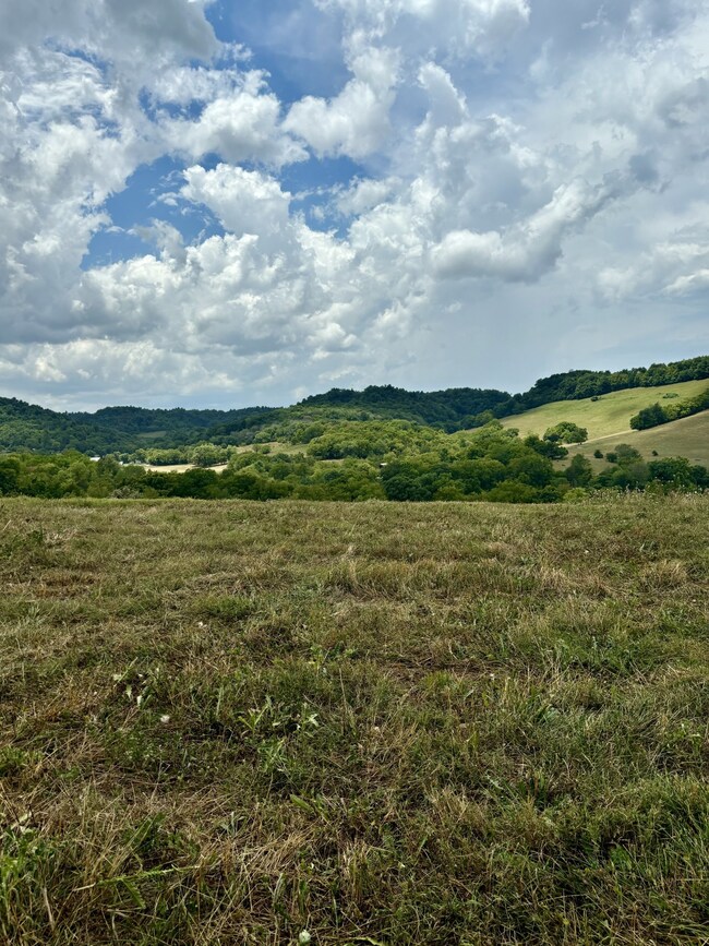 0 Mclaughlin Ln unit RTC2688353, Shelbyville, TN 37160 - photo 2