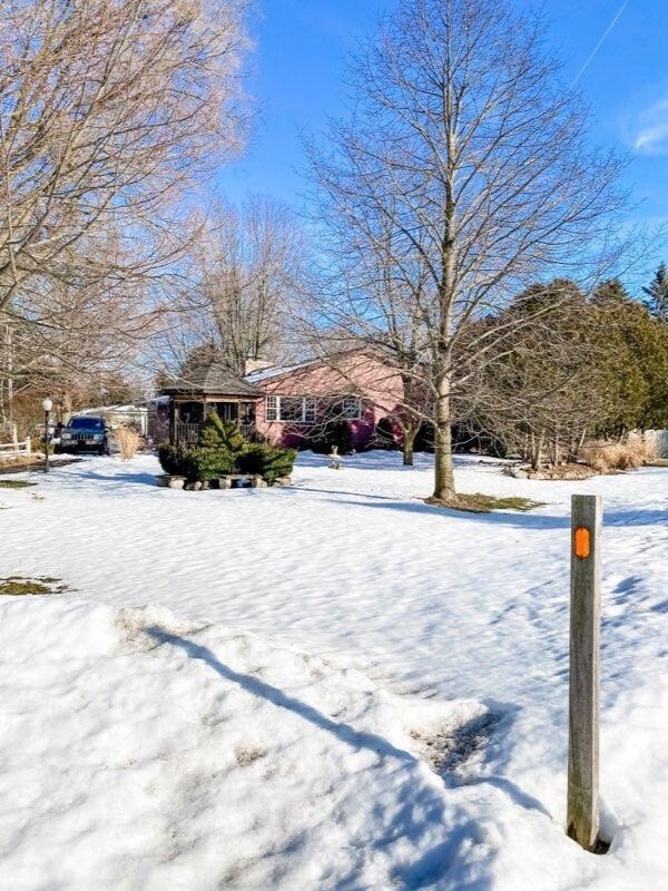 side yard