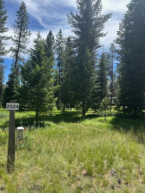 11 Vernon Ct unit Lot 24, McCall, ID 83638 - photo 4