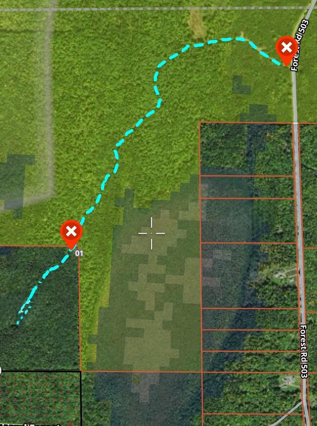 ON Forest Road 503, Phillips, WI 54555 - photo 5