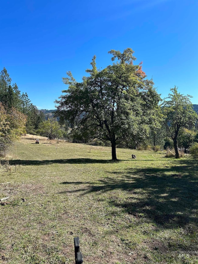 TBD Harmony Heights Loop, Orofino, ID 83544 - photo 7