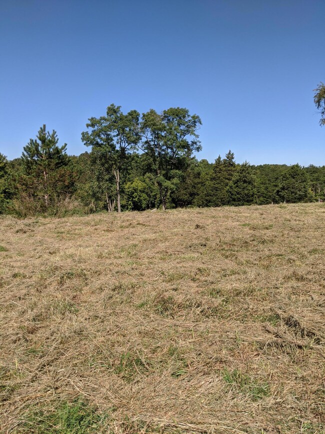 unlisted-address, Logan, OH 43138 - photo 5