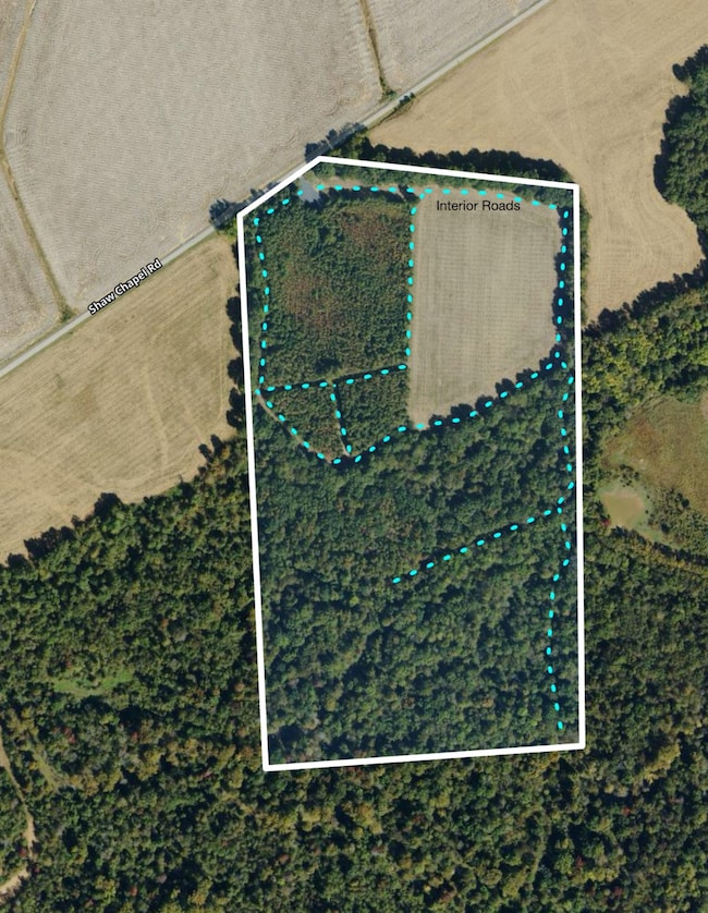 00 Shaw Chapel Rd, Brownsville, TN 38012 - photo 6