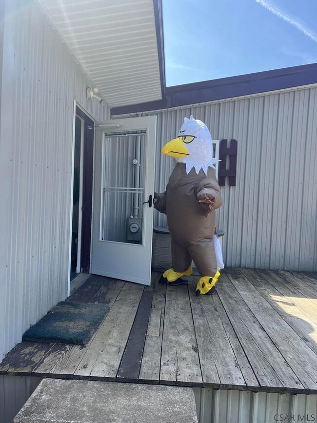 Don't ruffle your feathers, come on in!