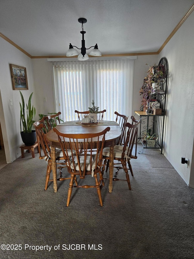 511 N Executive Dr, Bloomfield, NM 87413 - photo 7