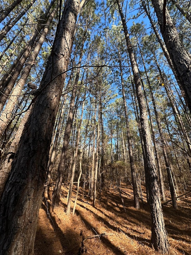 LOT 37 Petersburg Trace, Lincolnton, GA 30817 - photo 3