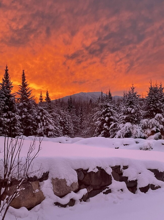 56 Balancing Rock Rd, Franconia, NH 03580 - photo 2