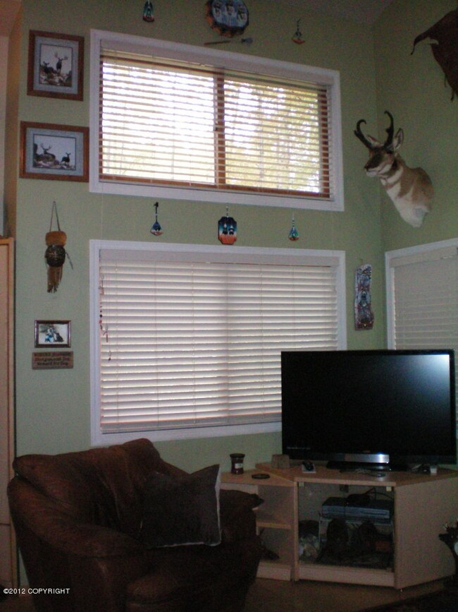 Tall Front Windows