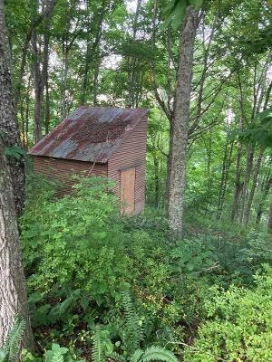 2521 Sand Knob Rd, Nimitz, WV 25978 - photo 7