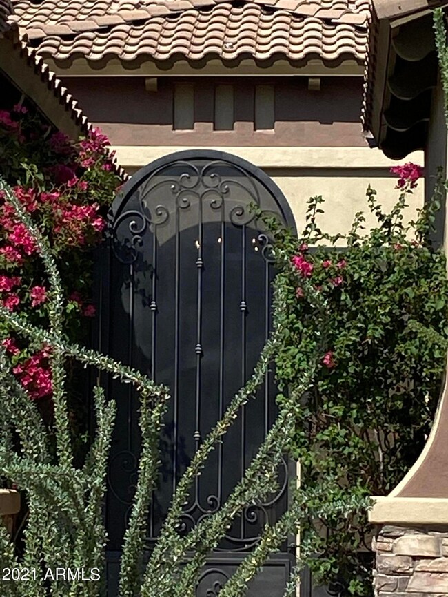 Welcome home