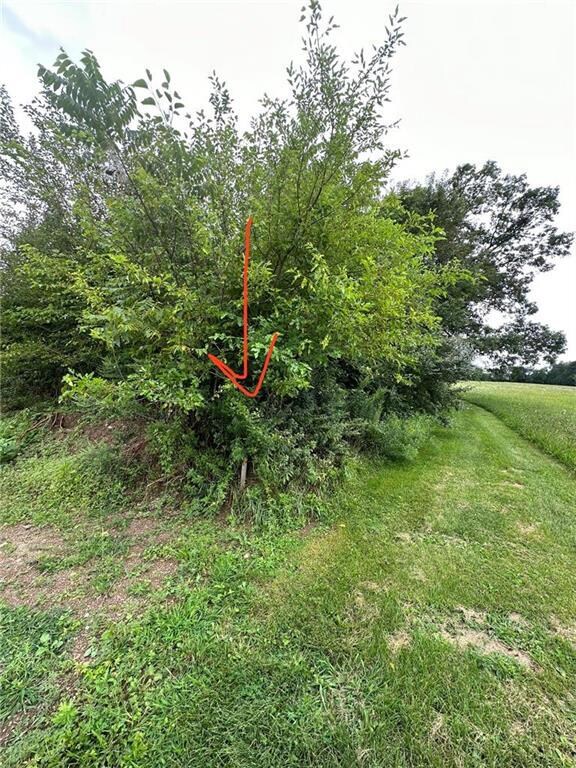 624 Main Rd, Weissport East, PA 18235 - photo 6