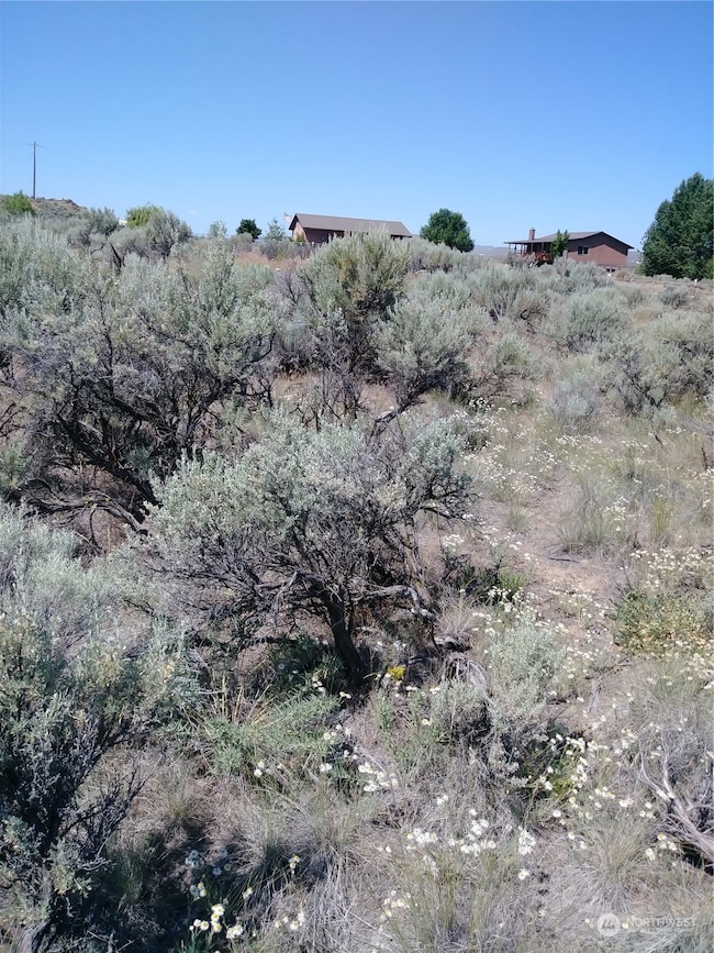 0 Snaffle Ct unit NWM2048300, Ephrata, WA 98823 - photo 4