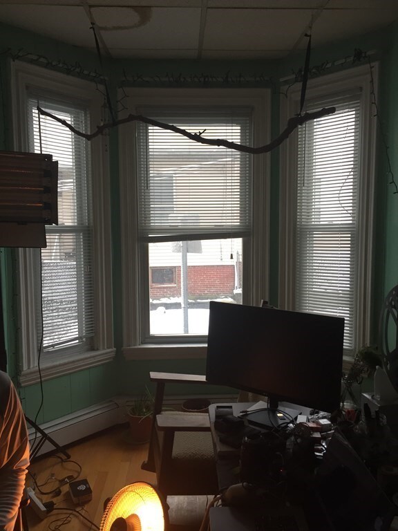 414 Putnam Ave unit 1, Cambridge, MA 02139 - photo 6