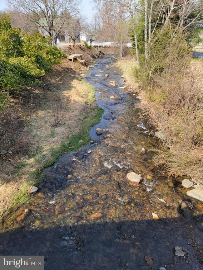 5865 Gooney Manor Loop, Bentonville, VA 22610 - photo 3