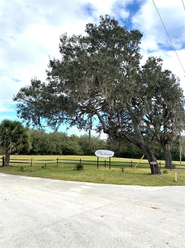 15991 NE 243rd Place Rd unit 54, Fort Mc Coy, FL 32134 - photo 3