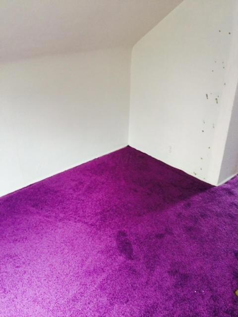 photo 4 (2)