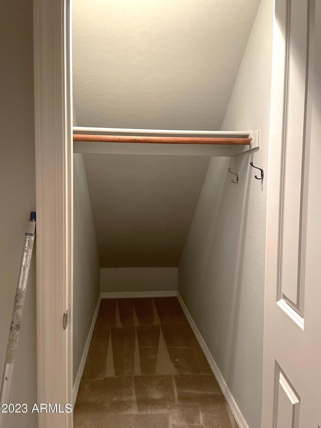 Harry Potter Closet or Extra Storage