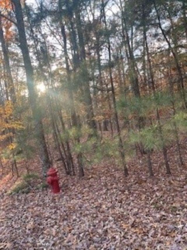 0 Rustic Hills Trail unit 25046619, Royal, AR 71968 - photo 6