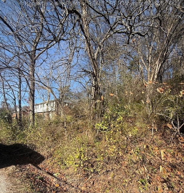 0 Kay Neva Ln, Charleston, WV 25312 - photo 3