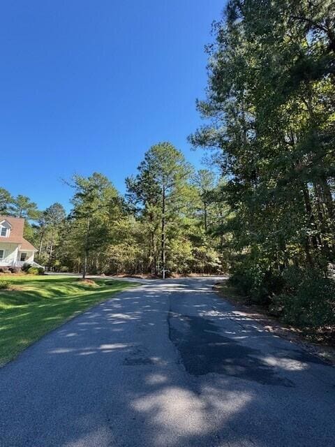 0 Poplar Creek Dr unit 25028030, Elloree, SC 29047 - photo 3