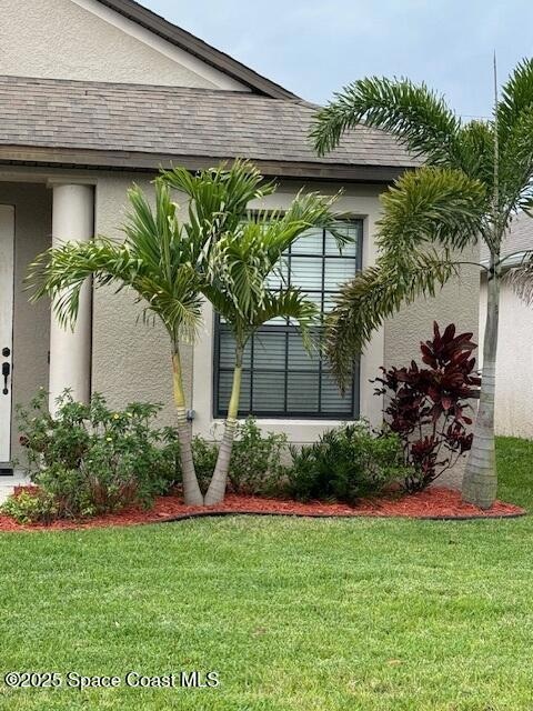Mature Landscaping