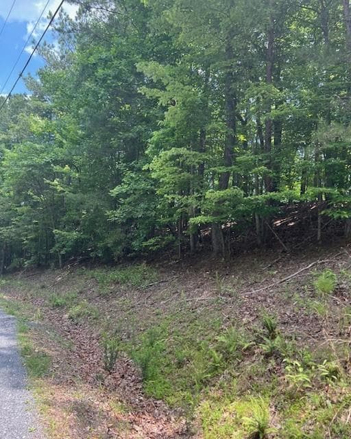 133 Adair Dr, Ranger, GA 30734 - photo 6