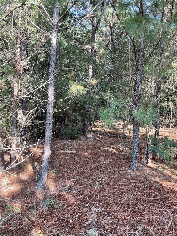 0 Bowers St unit LOT 1-8, Bowman, GA 30624 - photo 4