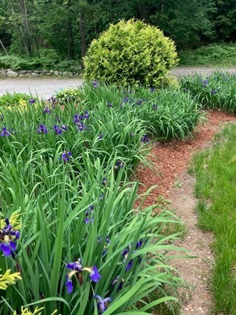 97 E Haynes Rd, Townsend, MA 01469 - photo 6