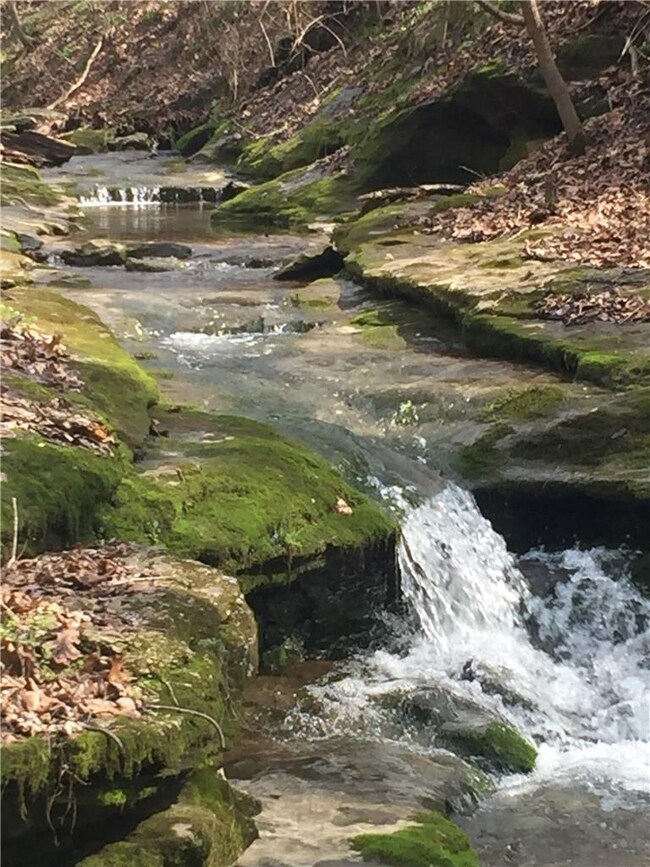 TBD Peach Orchard Rd, Bentonville, AR 72712 - photo 4