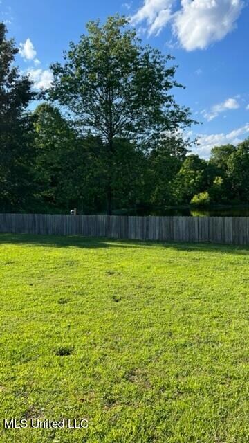 Backyard 2