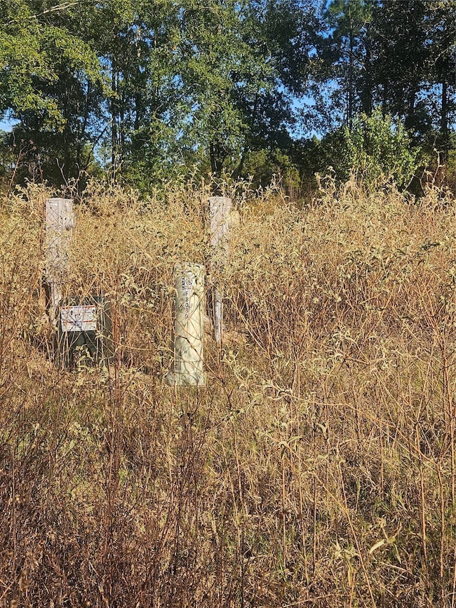 8030 Road 5891, Cleveland, TX 77327 - photo 2