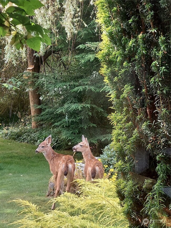 30508 Old 99 N, Stanwood, WA 98292 - photo 6