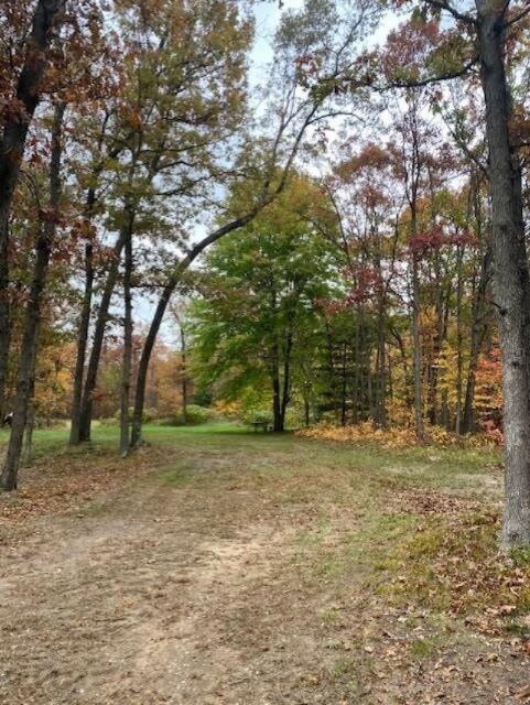 925 W 11 Mile Rd, Bitely, MI 49309 - photo 7