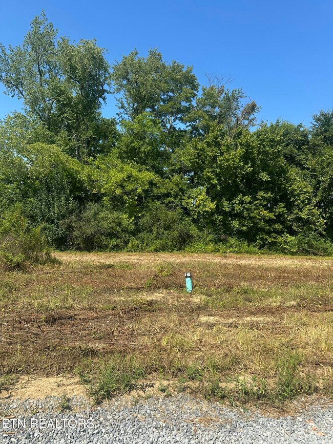 540 Henderson Rd unit 29, Pigeon Forge, TN 37863 - photo 2